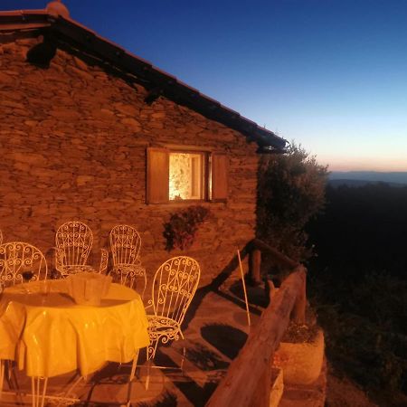 فيلا Casa Da Vinha Em Tabuaco - Douro المظهر الخارجي الصورة