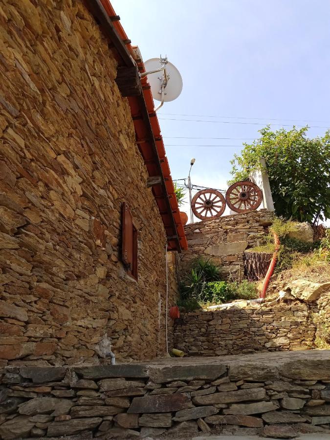 فيلا Casa Da Vinha Em Tabuaco - Douro المظهر الخارجي الصورة
