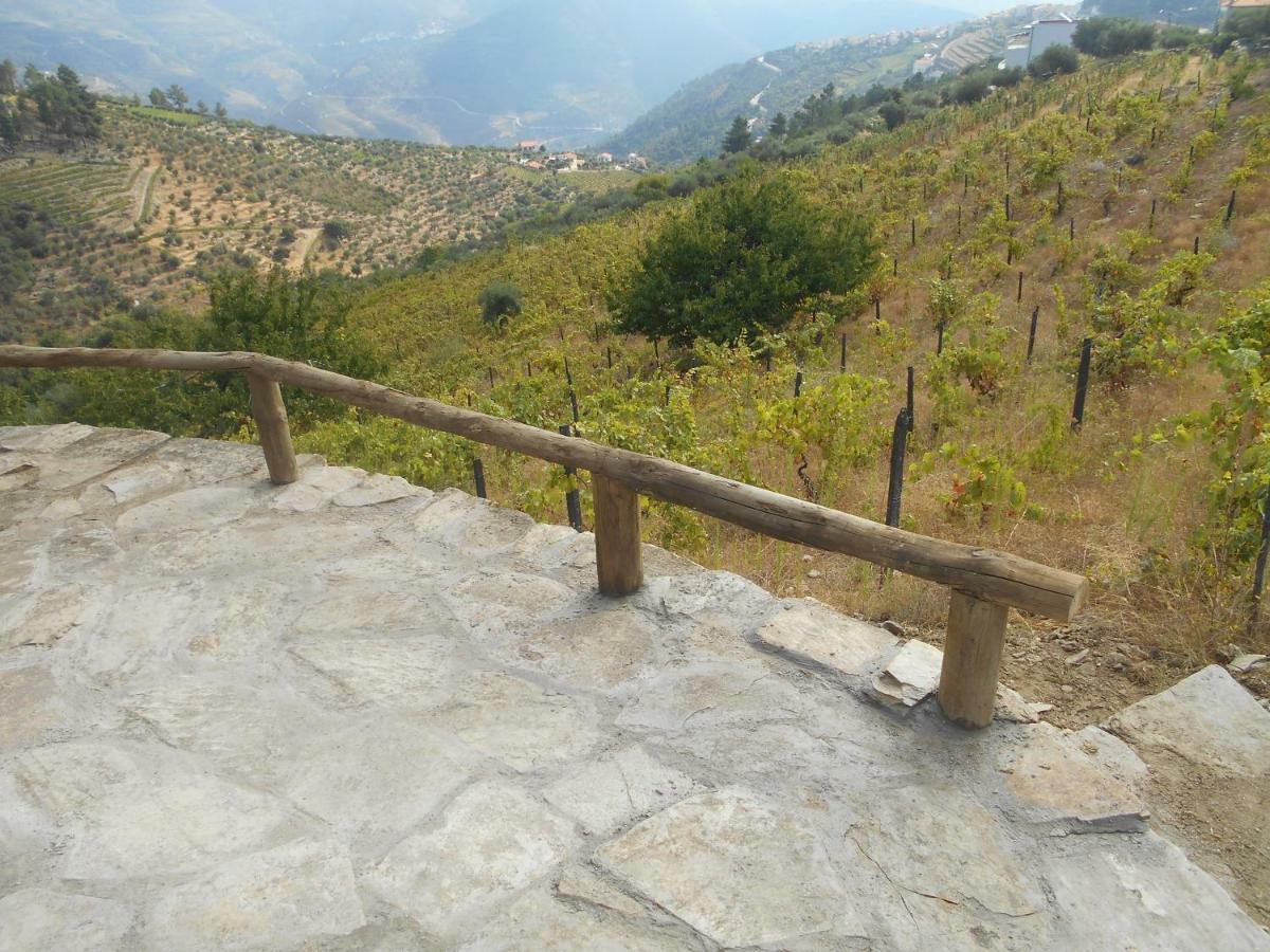 فيلا Casa Da Vinha Em Tabuaco - Douro المظهر الخارجي الصورة