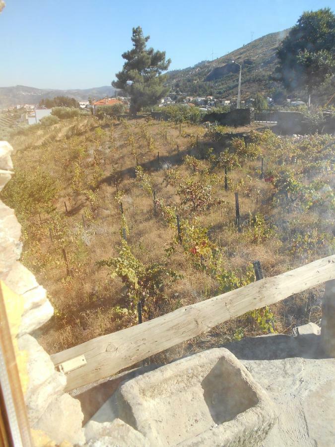 فيلا Casa Da Vinha Em Tabuaco - Douro المظهر الخارجي الصورة