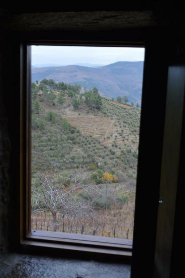 فيلا Casa Da Vinha Em Tabuaco - Douro المظهر الخارجي الصورة