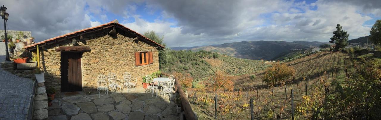 فيلا Casa Da Vinha Em Tabuaco - Douro المظهر الخارجي الصورة